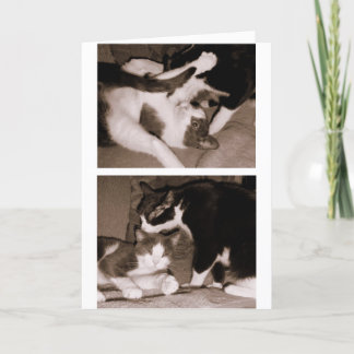 Cartão Irmãos - irmãos & irmãs