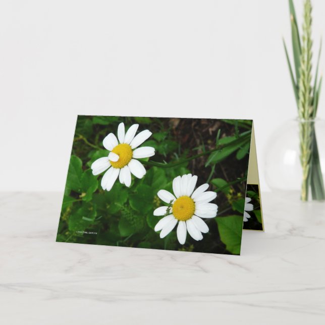 Cartão Irmãs (Frente)