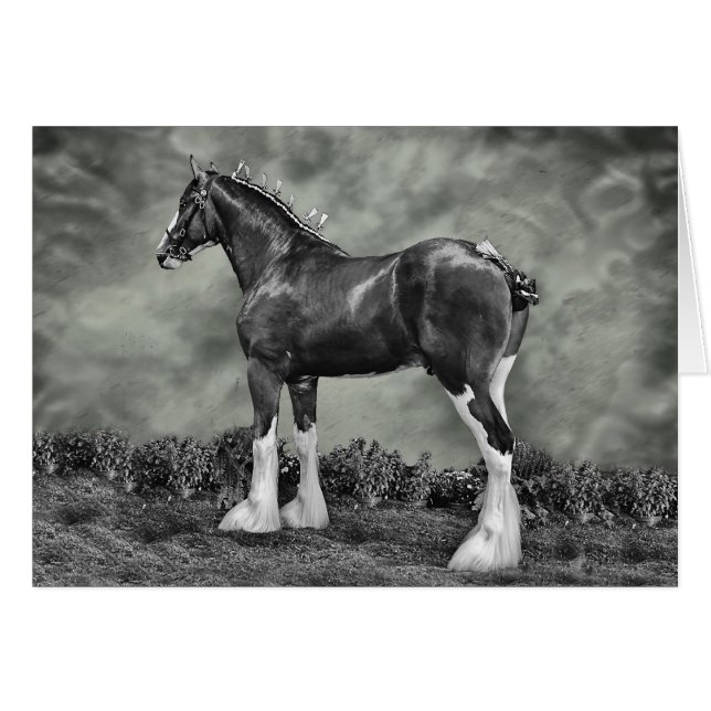 Cartão Iron Horse Steele (Frente Horizontal)