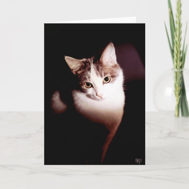 Cartão Irresistível (Frente)