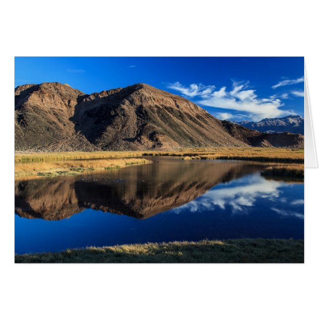 Cartão Isolamento Refletivo (Frente Horizontal)