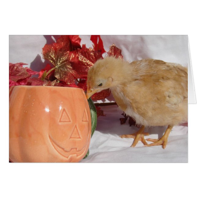 Cartão Isso É Comida? (Frente Horizontal)