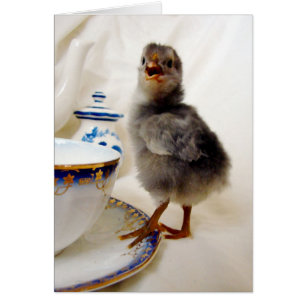 Cartão "Isto não faz parte do meu contrato", diz o pintin