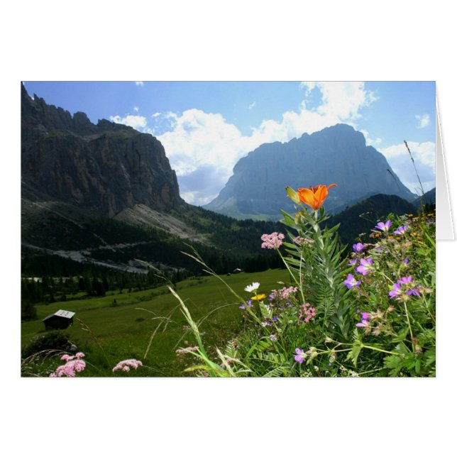 Cartão ITÁLIA: Flores selvagens, Dolomitas (Frente horizontal)