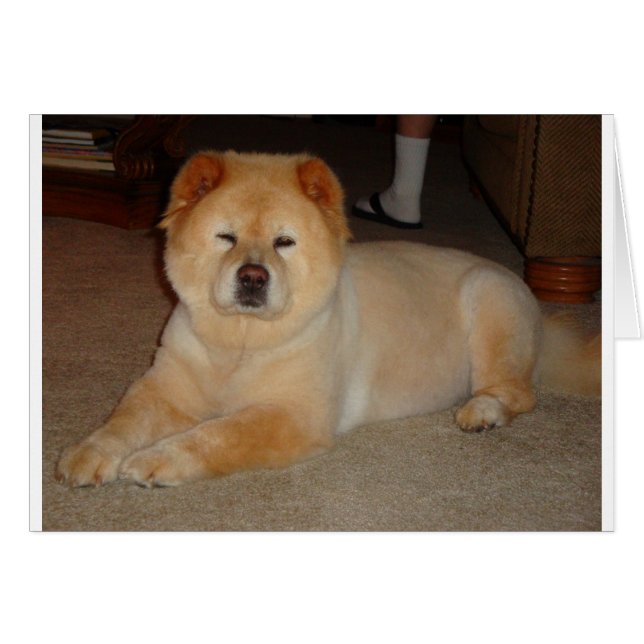 Cartão Itens de Chow (Frente Horizontal)