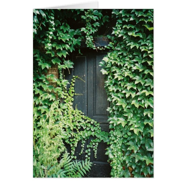 Cartão Ivy Door (Frente)