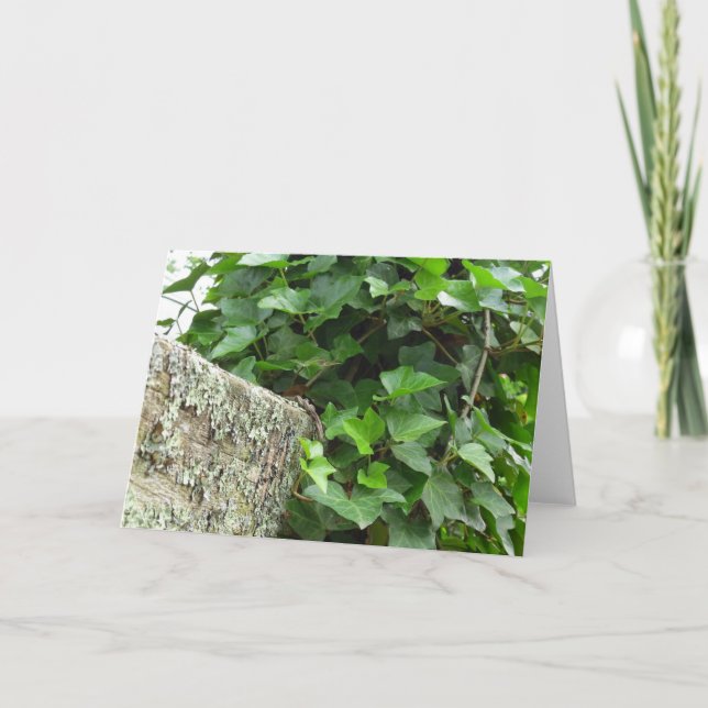 Cartão Ivy e Lichens - Martha's Vineyard (Frente)