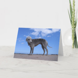 Cartão ixus 057 do cânone