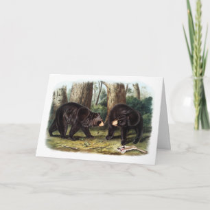Cartão J.W. Audubon - Ursus Americanus Black Bear