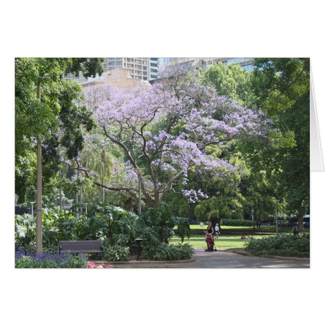 Cartão Jacaranda Tree (Frente Horizontal)