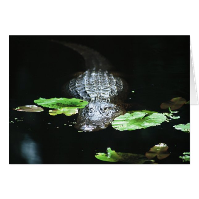 Cartão Jacaré (Frente Horizontal)