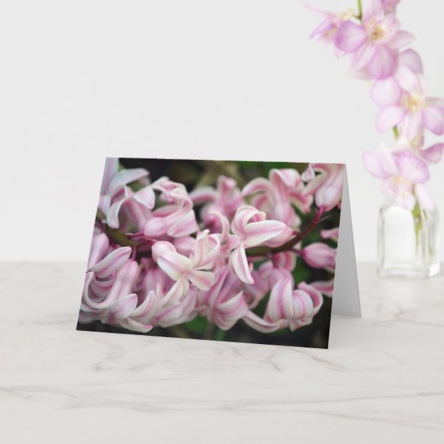 Cartão Jacinto Perfumado Rosa Doce e Fragrante (Orquídea)