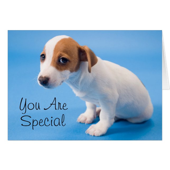 Cartão Jack Russell Puppy (Frente Horizontal)