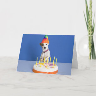 Cartão Jack Russell Terrier cão vestindo chapéu de festa
