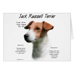Cartão Jack Russell Terrier History