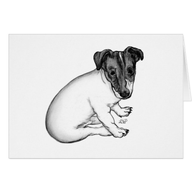 Cartão Jack Russell Welpe 10 Wochen alt (Frente Horizontal)