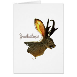 Cartão Jackalope