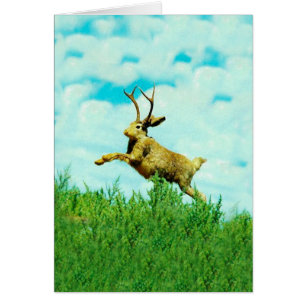 Cartão Jackalope Feliz