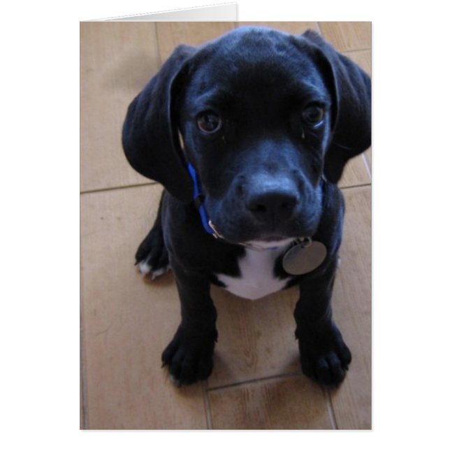 Cartão Jag (Frente)