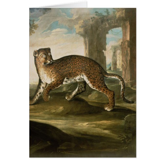 Cartão Jaguar (Frente)