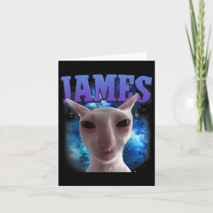 Cartão James The Cat Meme Engraçado Bobo Gata Memória Bra