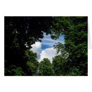 Cartão Janela da árvore