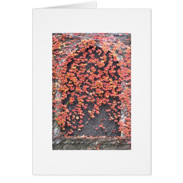 Cartão Janela velha com hera vermelha (Frente)