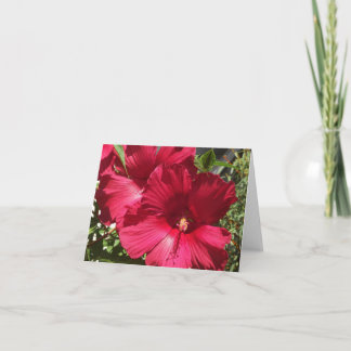 Cartão Janto Plate Red Hibiscus