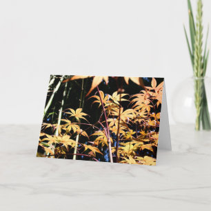 Cartão Japanese Maples 5 Floral Photography HGC