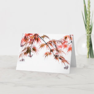 Cartão Japanese Red Maple Art Photography L