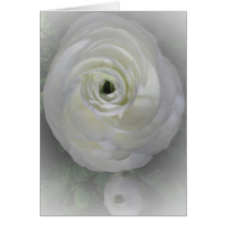 Cartão Japonês Camelia