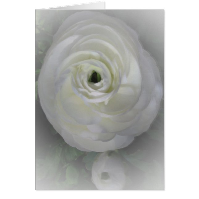 Cartão Japonês Camelia (Frente)