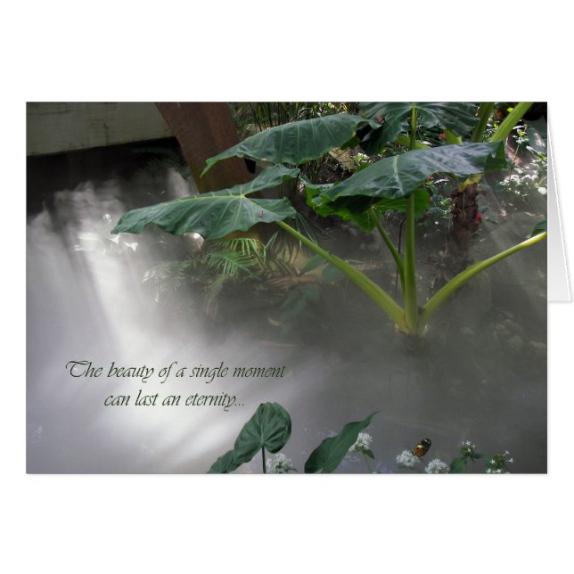 Cartão Jardim Botânico (Frente horizontal)