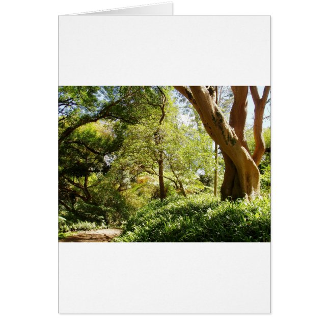 Cartão Jardim Botânico de Wahiawa (Frente)