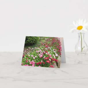 Cartão Jardim da Flor Rosa