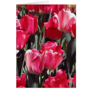 Cartão Jardim da tulipa