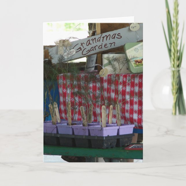 Cartão Jardim da vovó (Frente)
