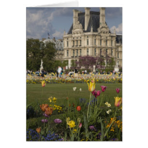 Cartão Jardim das Tulherias, Louvre, Paris, França