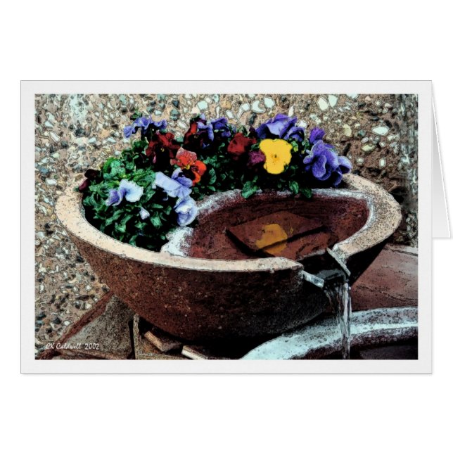 Cartão Jardim de Água (Frente Horizontal)