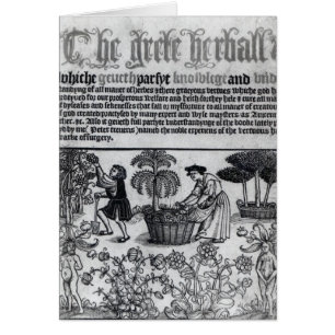 Cartão Jardim de erva medieval