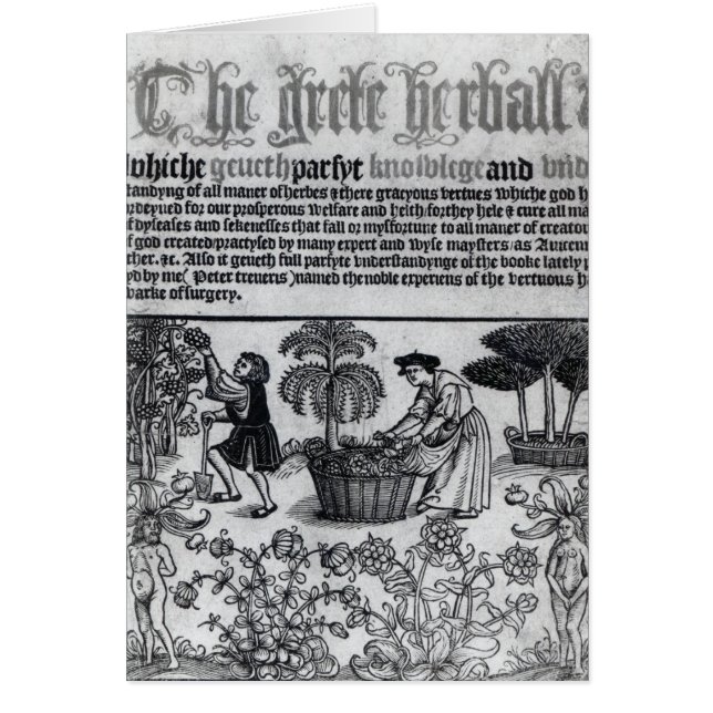 Cartão Jardim de erva medieval (Frente)