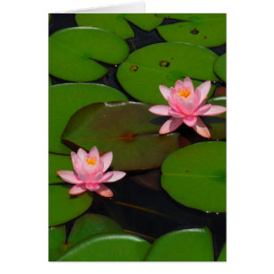 Cartão Jardim de flores de lírios, de lágrimas, de lótus 