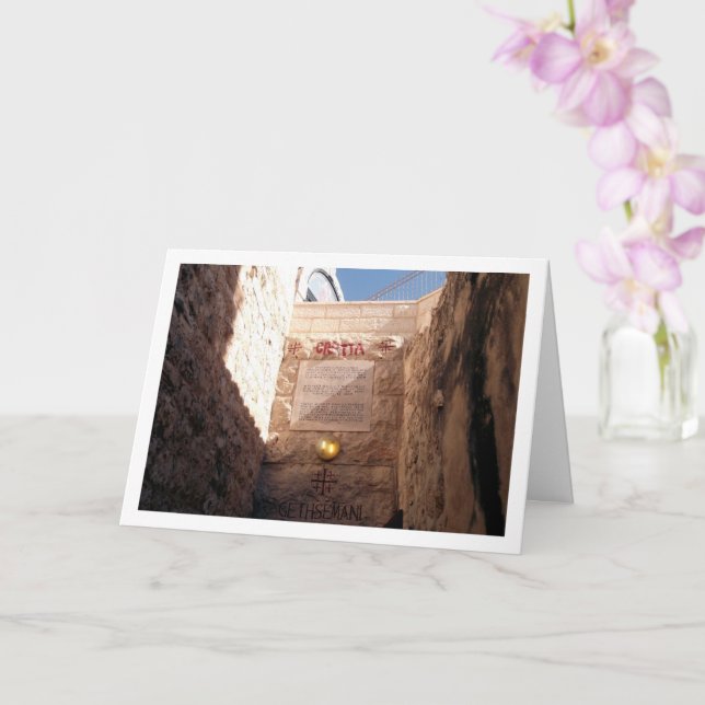 Cartão Jardim de Gethsemane, Jerusalém (Orquídea)