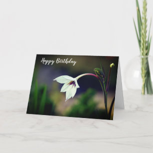 Cartão Jardim de Gladíolo Branco Flor Feliz Aniversário
