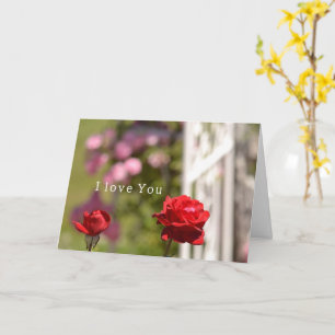 Cartão Jardim de Rosas Vermelhas Ama Você