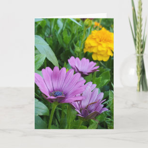 Cartão Jardim de Verão