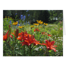 Cartão Jardim de Verão Atrasado Colorido