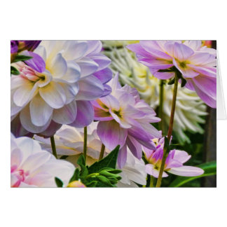 Cartão Jardim de Verão Colorido Dahlia Flower