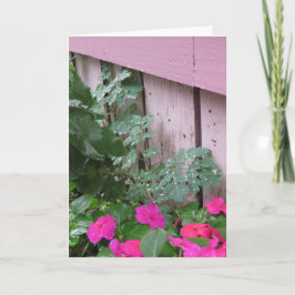 Cartão Jardim depois da chuva - o Vineyard de Martha