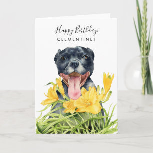 Cartão Jardim Floral Amarelo Cachorro-Breu Bonito Anivers